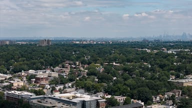 Mount Vernon, New York residential neighborhood with houses and green trees