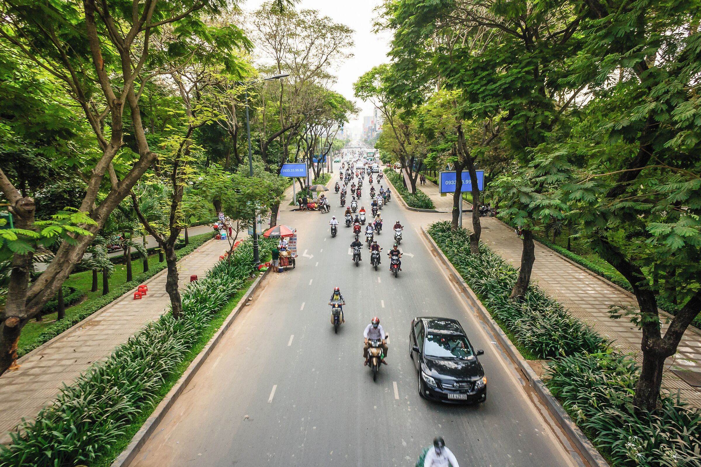 A busy urban road lined with trees and greenery, with multiple motorbikes and a few cars.