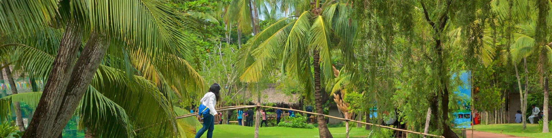 Vietnam featuring a river or creek, a bridge and a pond