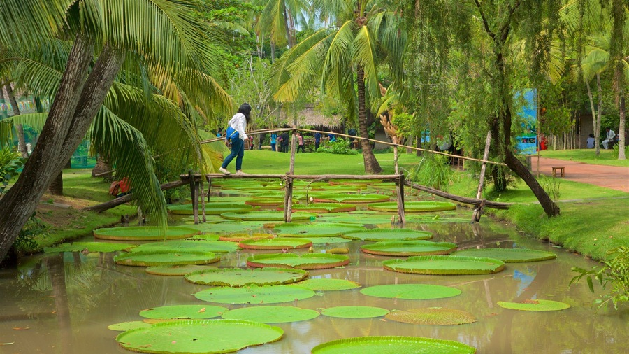 Vietnam featuring a river or creek, a bridge and a pond