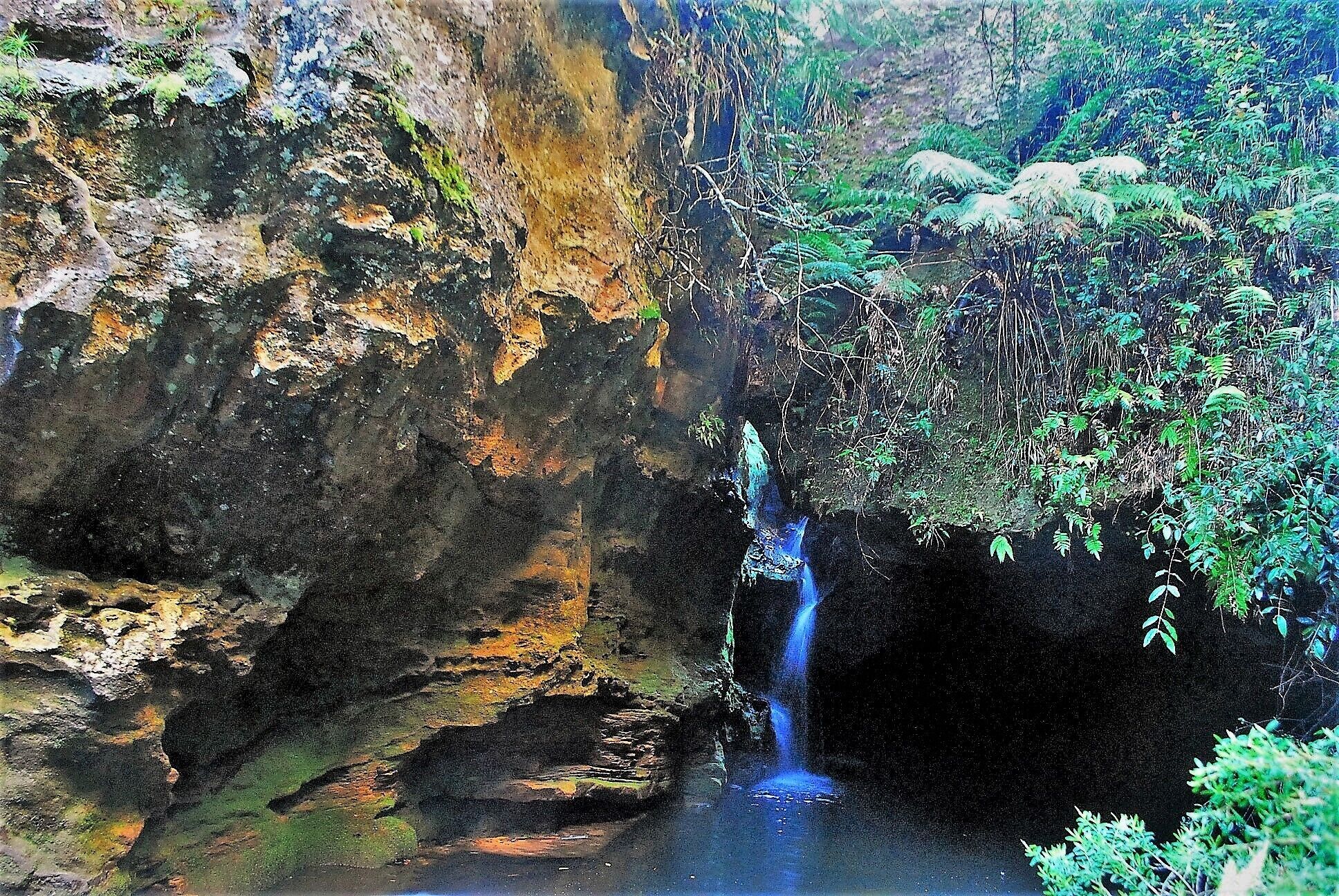 In the Blue Mountains National Park, this is one of, if not the best walk.  It features slot canyons, small streams, side pockets (shown here) and lots of lovely rainforest.  Takes a couple of hours but it's well worth it.