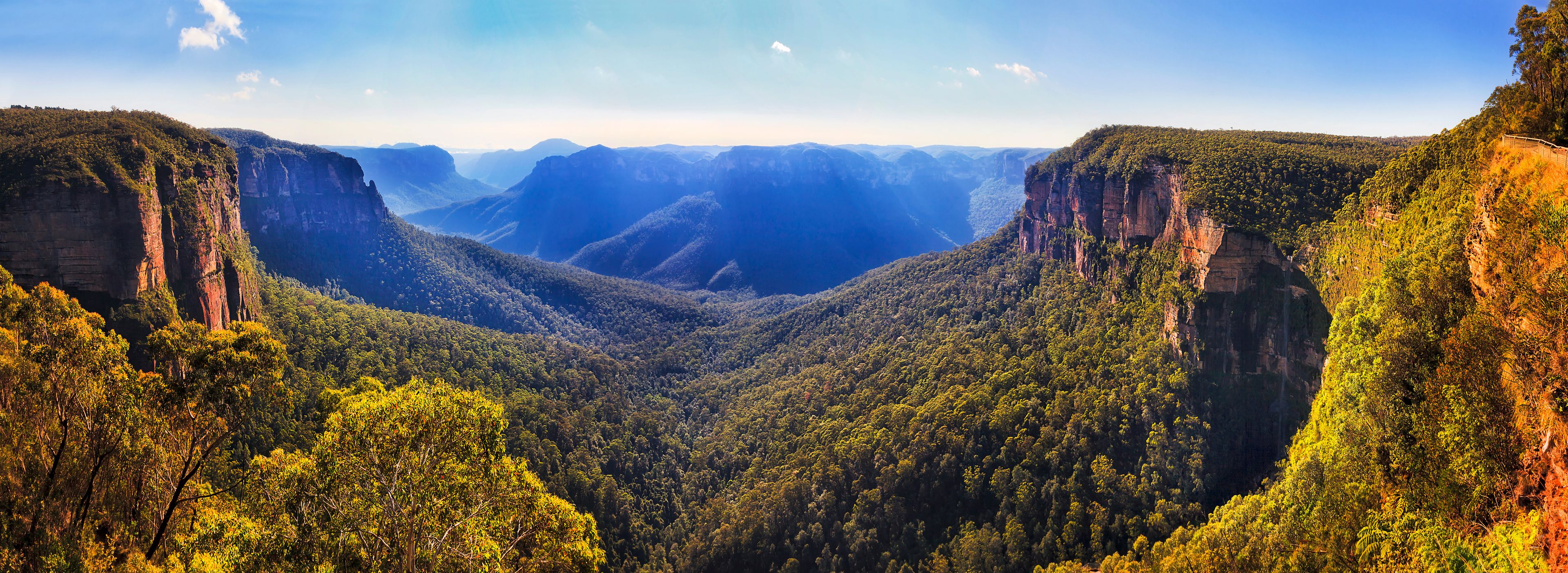 A canyon with steep cliffs and dense forest.