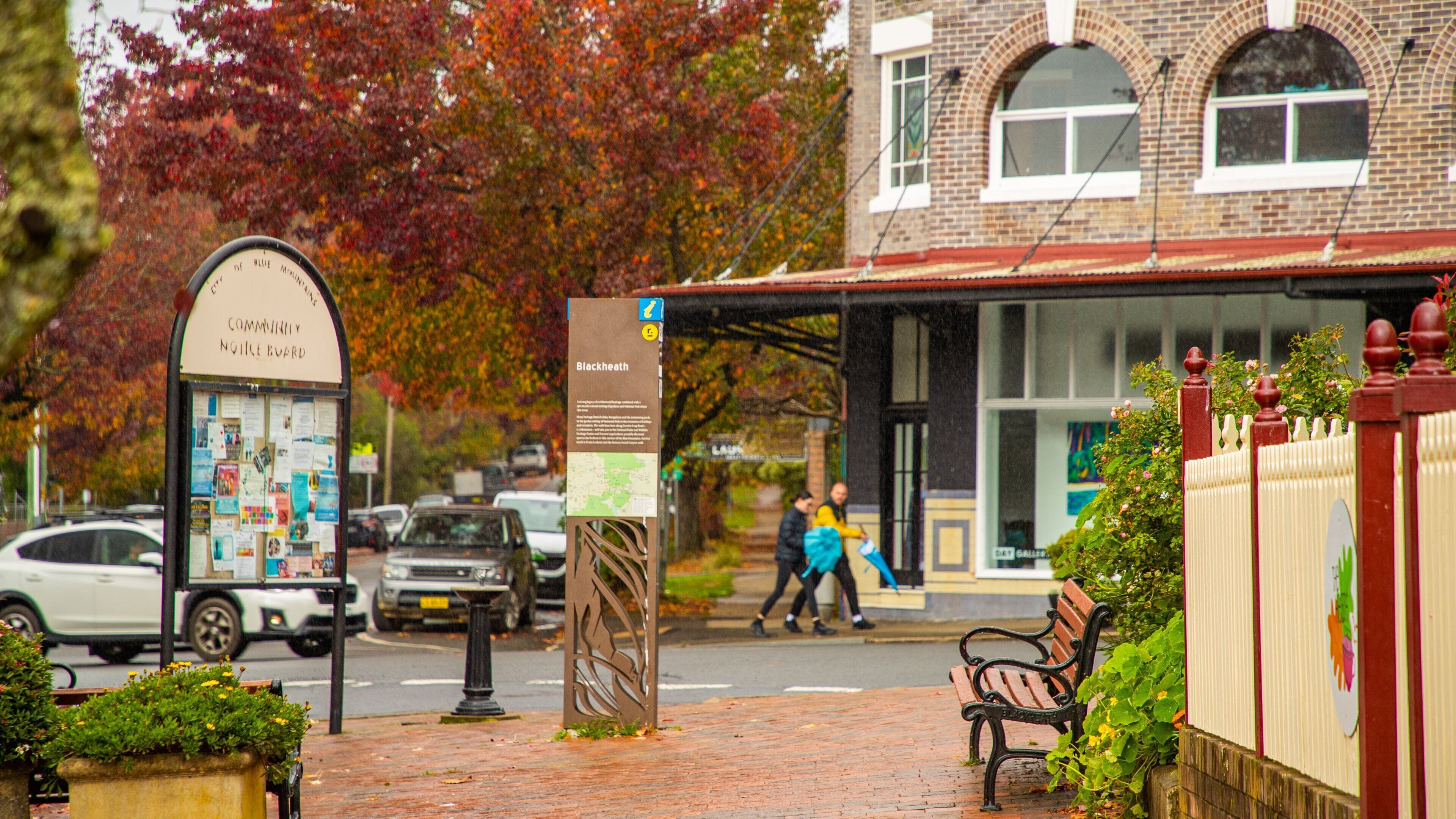 Blackheath showing signage and street scenes