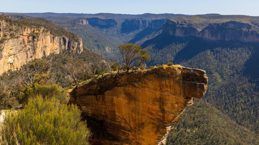 Blackheath showing tranquil scenes and a gorge or canyon