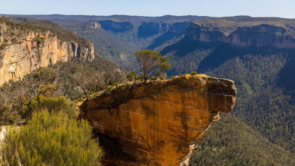 A large rock formation with a tree on top, surrounded by dense forest and a valley.