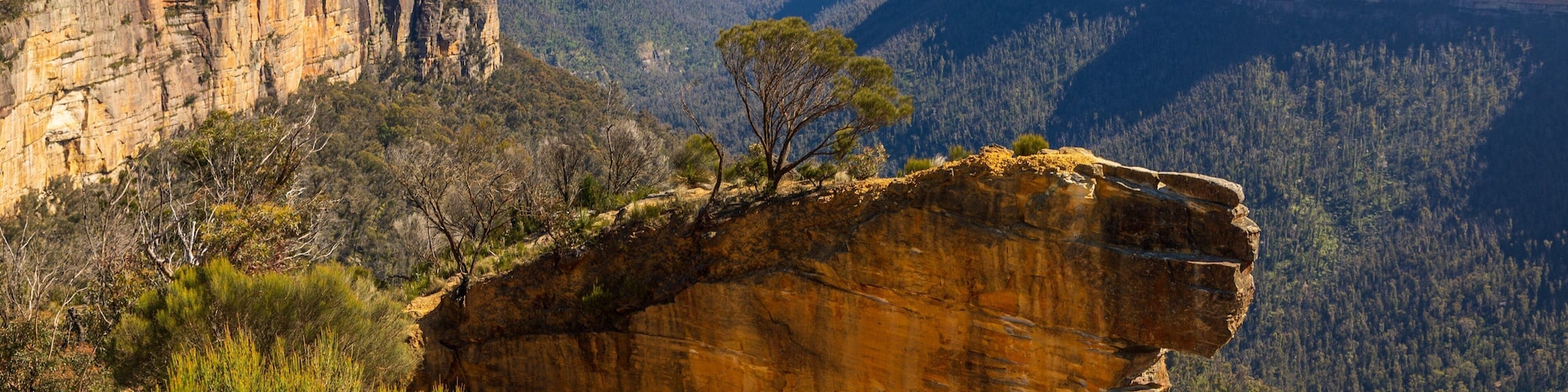 Blackheath showing tranquil scenes and a gorge or canyon