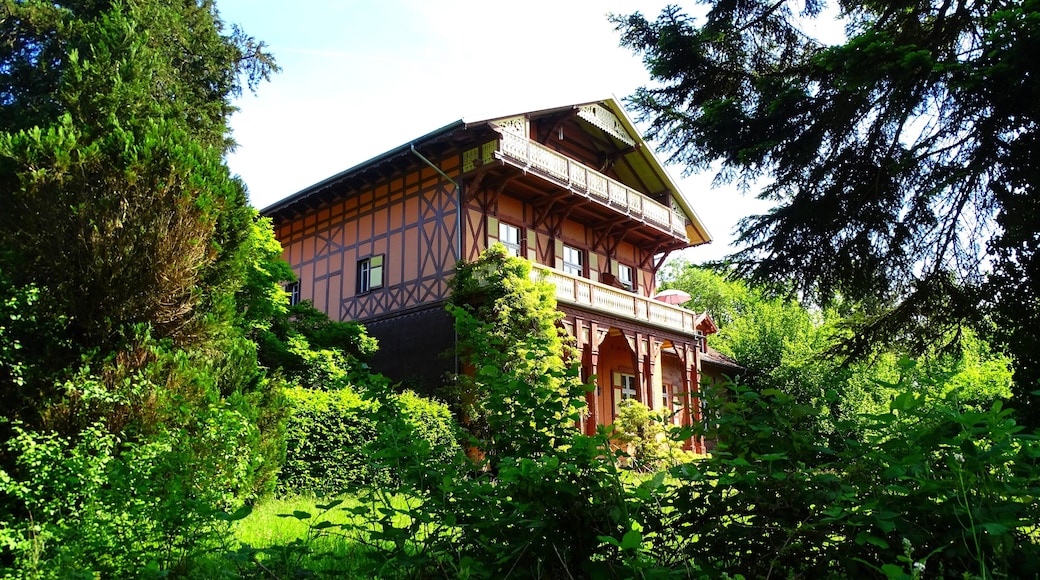 ๋ธ๋กฏ์ธ ํด