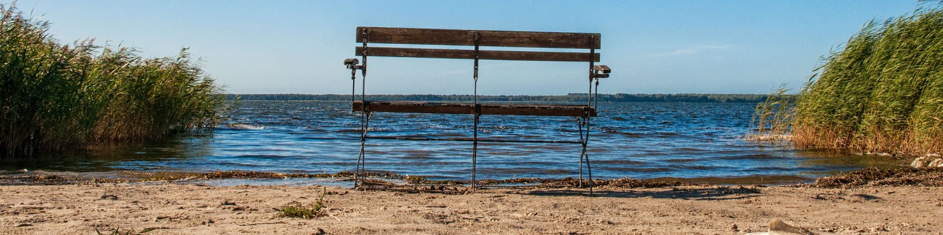 Bank am Strand von Rügen