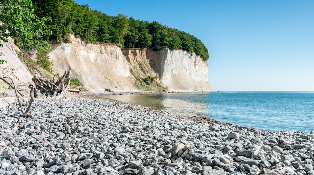 Chalk cliffs on Rügen island along the Baltic sea