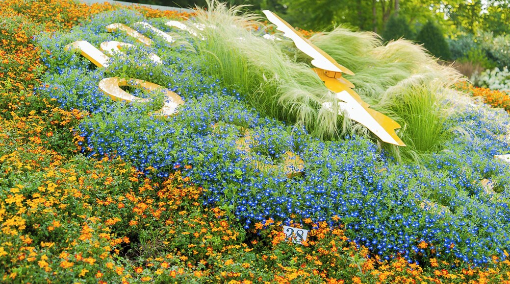 Flower clock Rain, Jul 2017