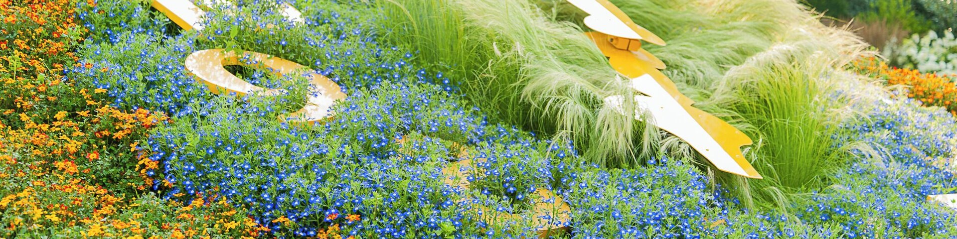 A garden with blue and orange flowers, a wooden sculpture, and tall grasses.