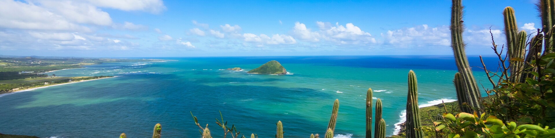 Paisaje costero con cactus altos, cielo azul despejado y vista al océano.