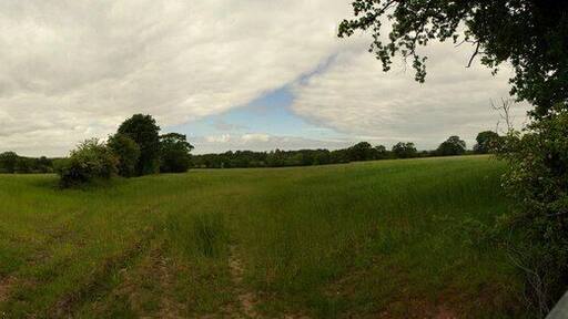Corn Field Pont-Einiton