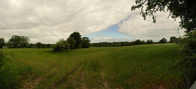A grassy field with trees and a cloudy sky.