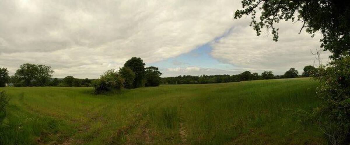 A grassy field with trees and a cloudy sky.
