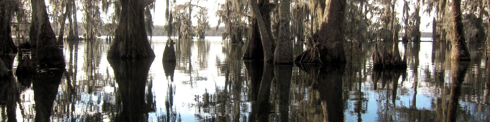 I was skeptical about a swamp tour, but this one was a great experience! We went into all sorts of different ecosystems, saw lots of wildlife and had a knowledgeable guide. It would be a great experience for kids, too.