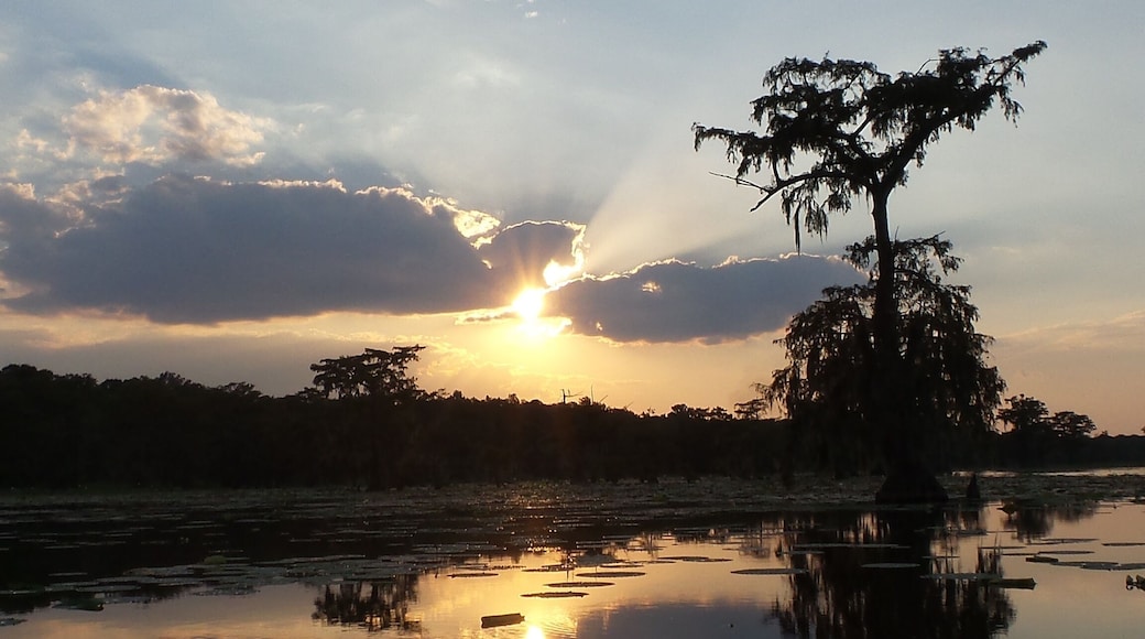 Paroisse de Saint-Martin