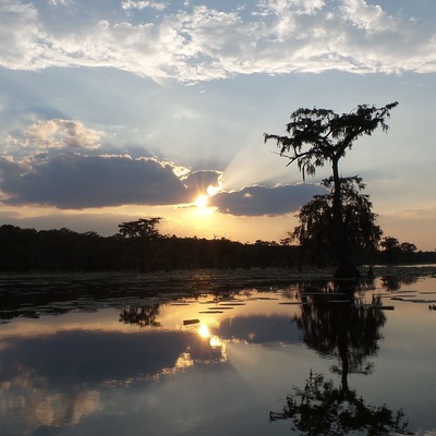Shawn was a funny & knowledgeable Swamp tour guide. A peaceful sunset tour and I learned a lot while observing the animals and nature.
