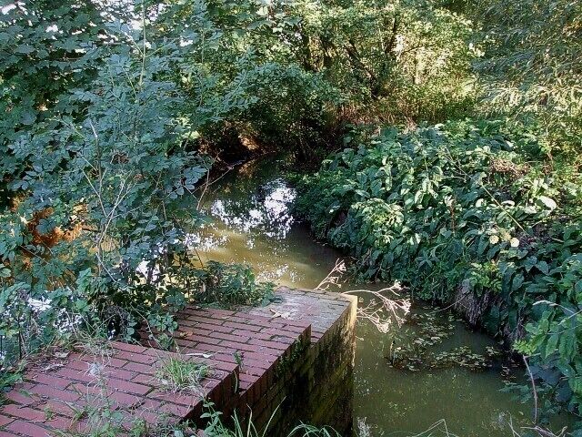 It's all just water under the bridge. This is the water as it emerges on the northern side of Greenfield Road, having passed under the bridge seen in 1517095. I think that it is a tributary stream of the River Flit, though it's possible that it's the River Flit itself.