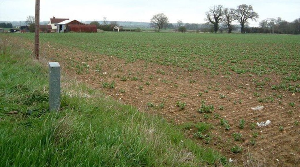 Folly Farm Fields, Flitwick Folly Farm is named after the area of woodland ("The Folly") which can be seen on the far right of the photo - rather than any suggestion that it is a silly place to have a farm ! The other side of the road here is taken up with unlovely industrial and commercial units.