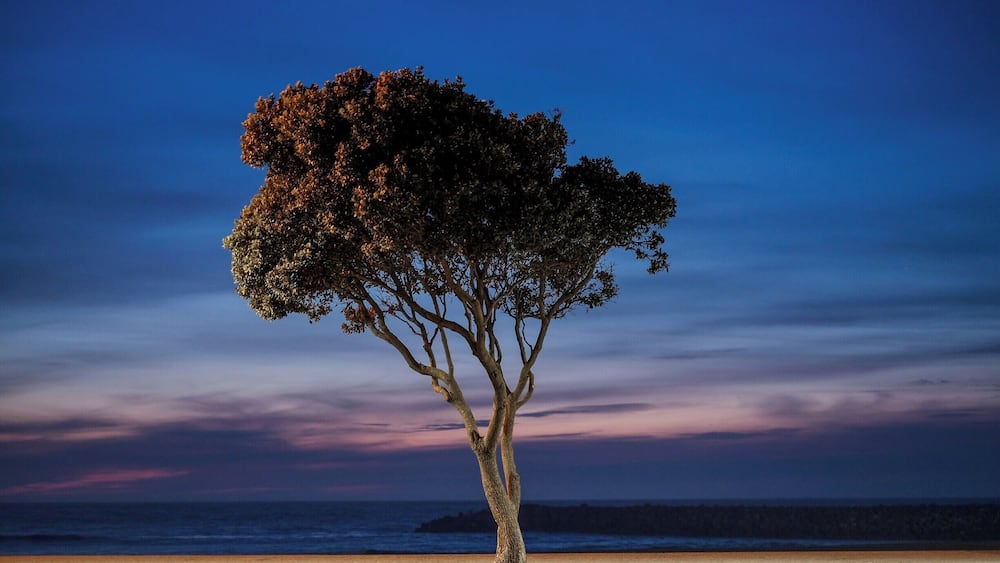 O Calçadão de Espinho é espetacular para uma caminhada ao pôr do sol
