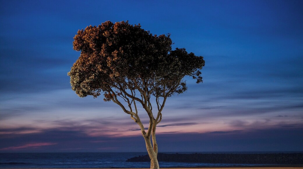O Calçadão de Espinho é espetacular para uma caminhada ao pôr do sol