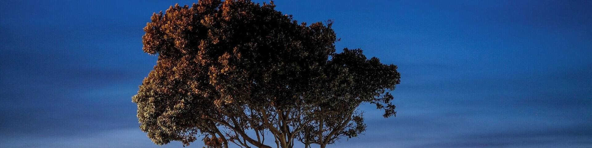 O Calçadão de Espinho é espetacular para uma caminhada ao pôr do sol