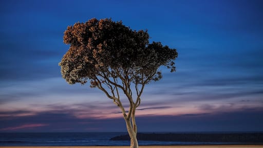 O Calçadão de Espinho é espetacular para uma caminhada ao pôr do sol
