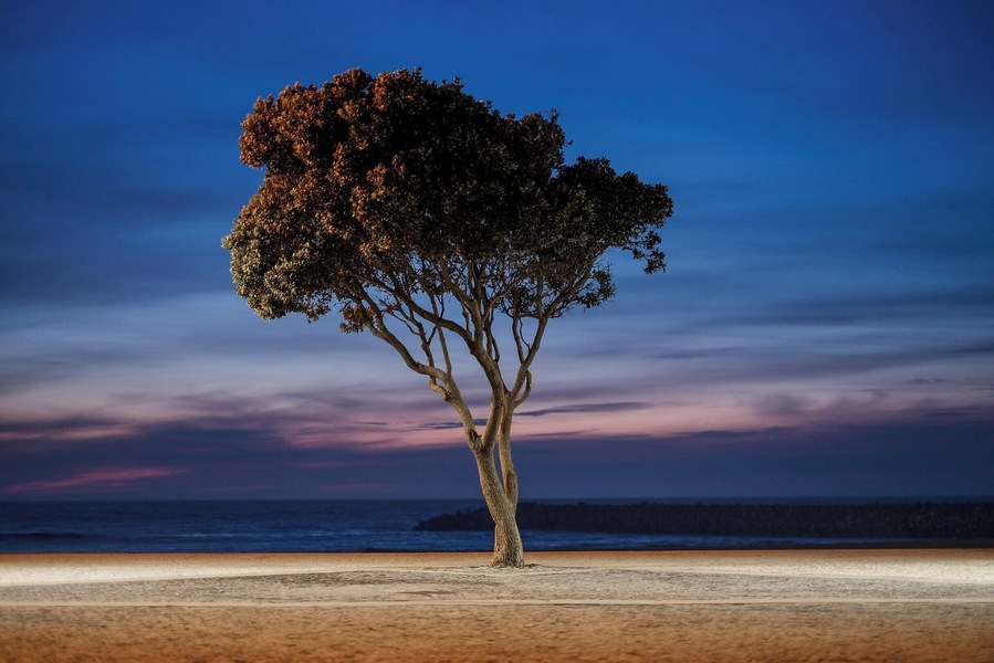 O Calçadão de Espinho é espetacular para uma caminhada ao pôr do sol