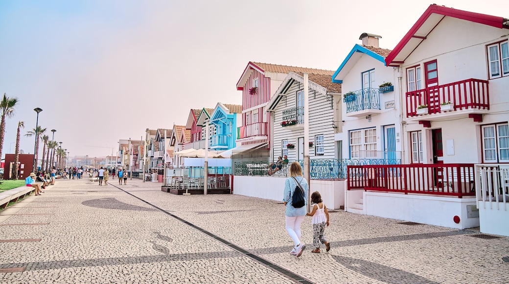 Colorful houses called palheiros in the fisherman village of Costa Nova