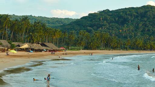 Rincón de Guayabitos