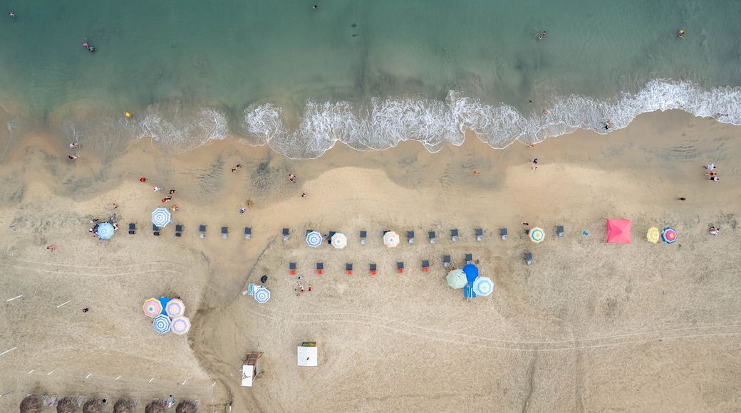 Rincón de Guayabitos