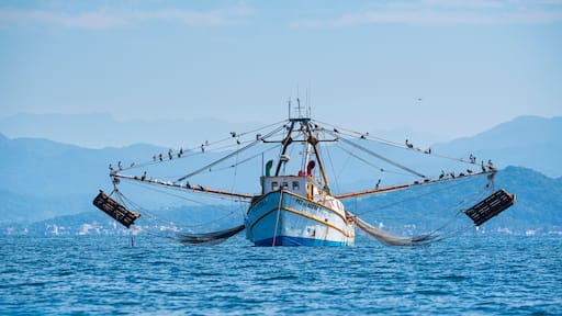 Shrimp fishing boat, Rincon de Guayabitos, Compostela municipality, Pacific Ocean, Riviera Nayarit, Nayarit State, Mexico, Central America, America