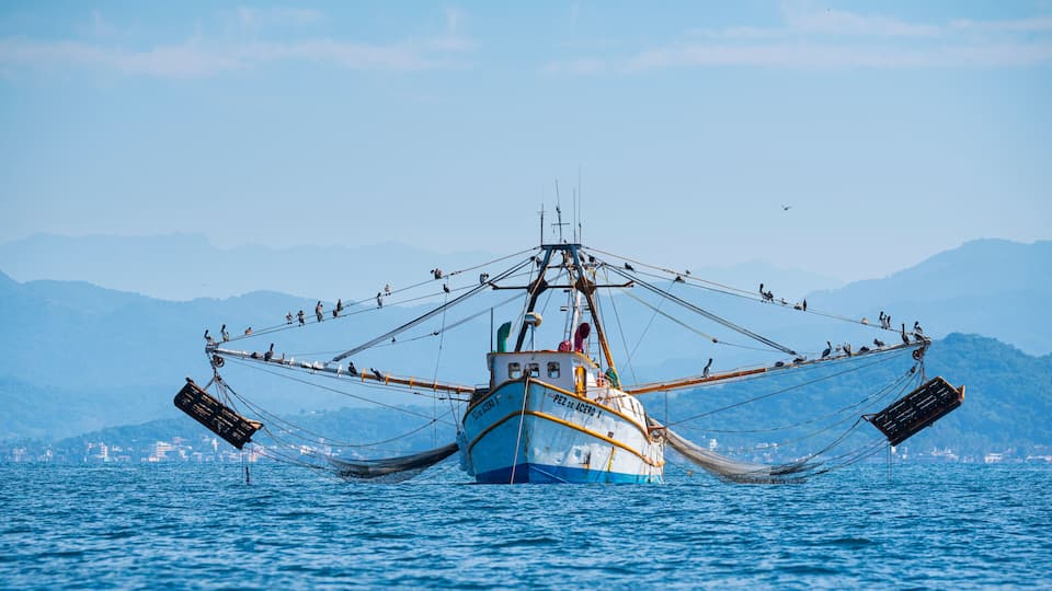 Shrimp fishing boat, Rincon de Guayabitos, Compostela municipality, Pacific Ocean, Riviera Nayarit, Nayarit State, Mexico, Central America, America