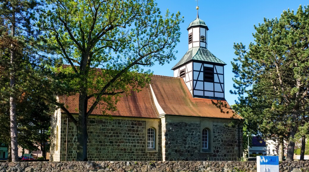 بلانكينفليدي - مالو