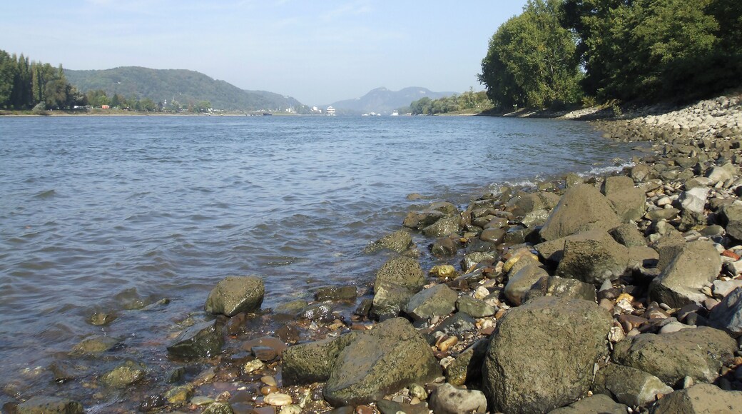 Der Rhein bei Unkel, Rheinland-Pfalz