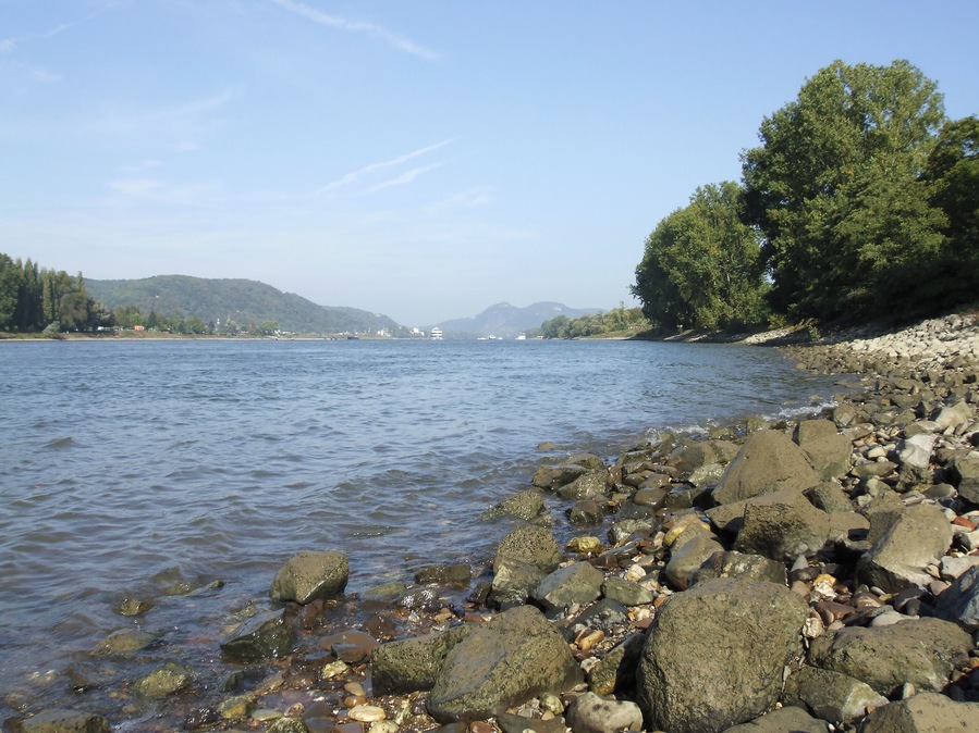 Der Rhein bei Unkel, Rheinland-Pfalz