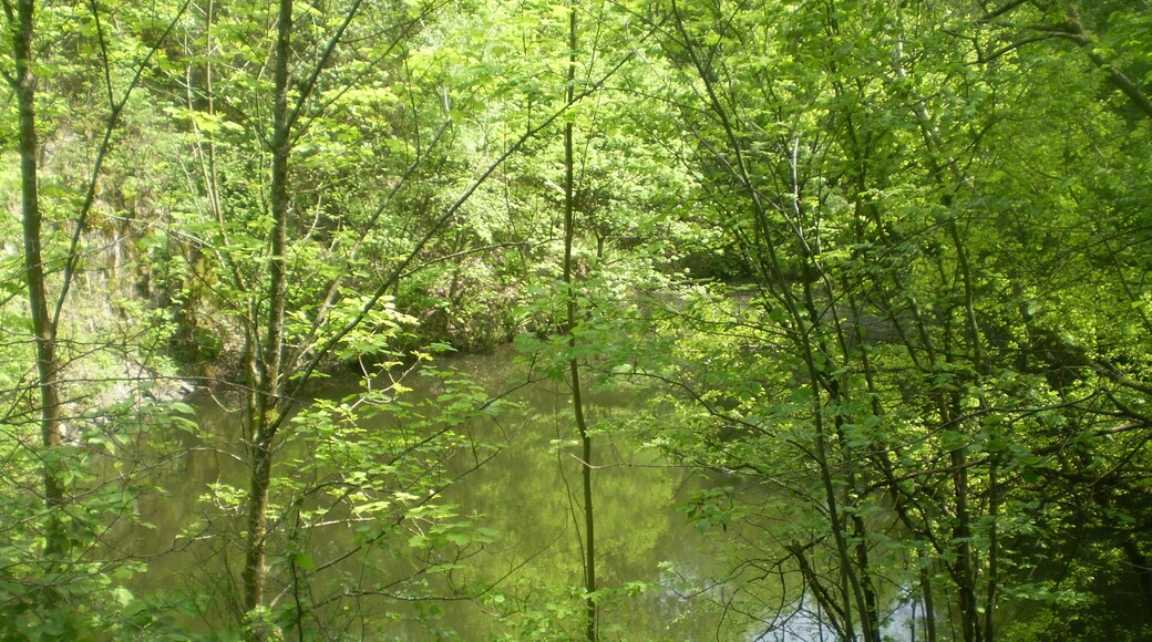 Mittlerer See (direkt unterhalb des Berggipfels) am Asberg, Unkel