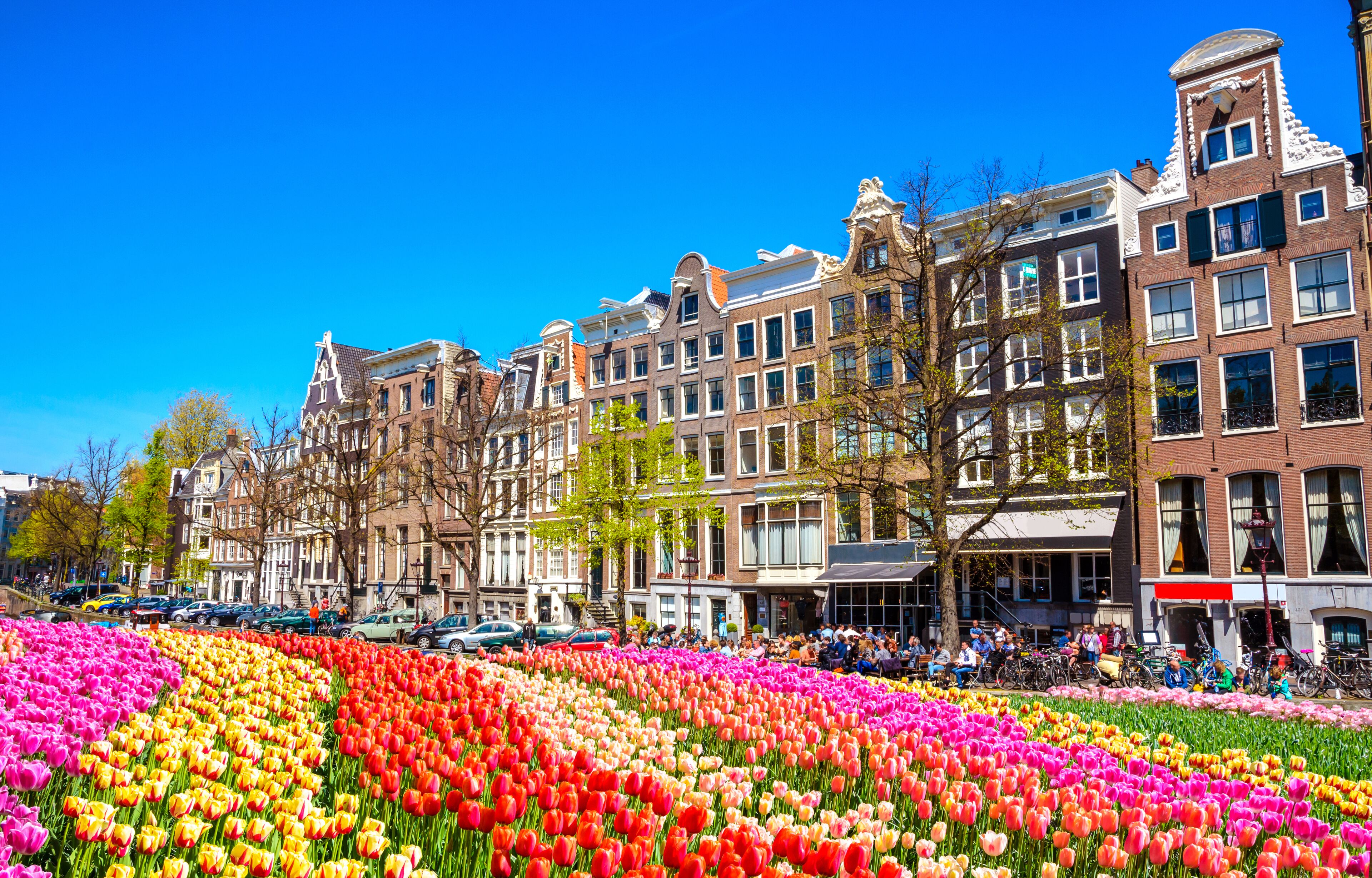 Traditional old buildings and and boats in Amsterdam, Netherlands. Canals of Amsterdam, Shutterstock ID 556537813, Purchase Order: -