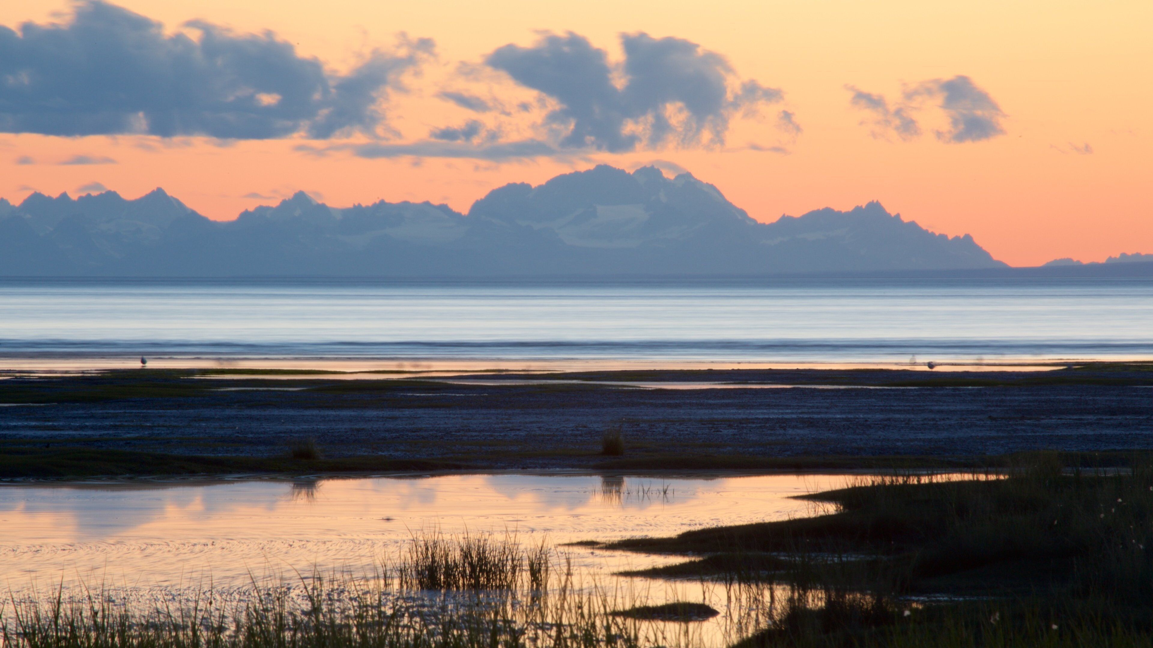 Anchorage som omfatter en sandstrand og en solnedgang