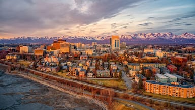 A cityscape with a prominent building and snow-capped mountains in the background.