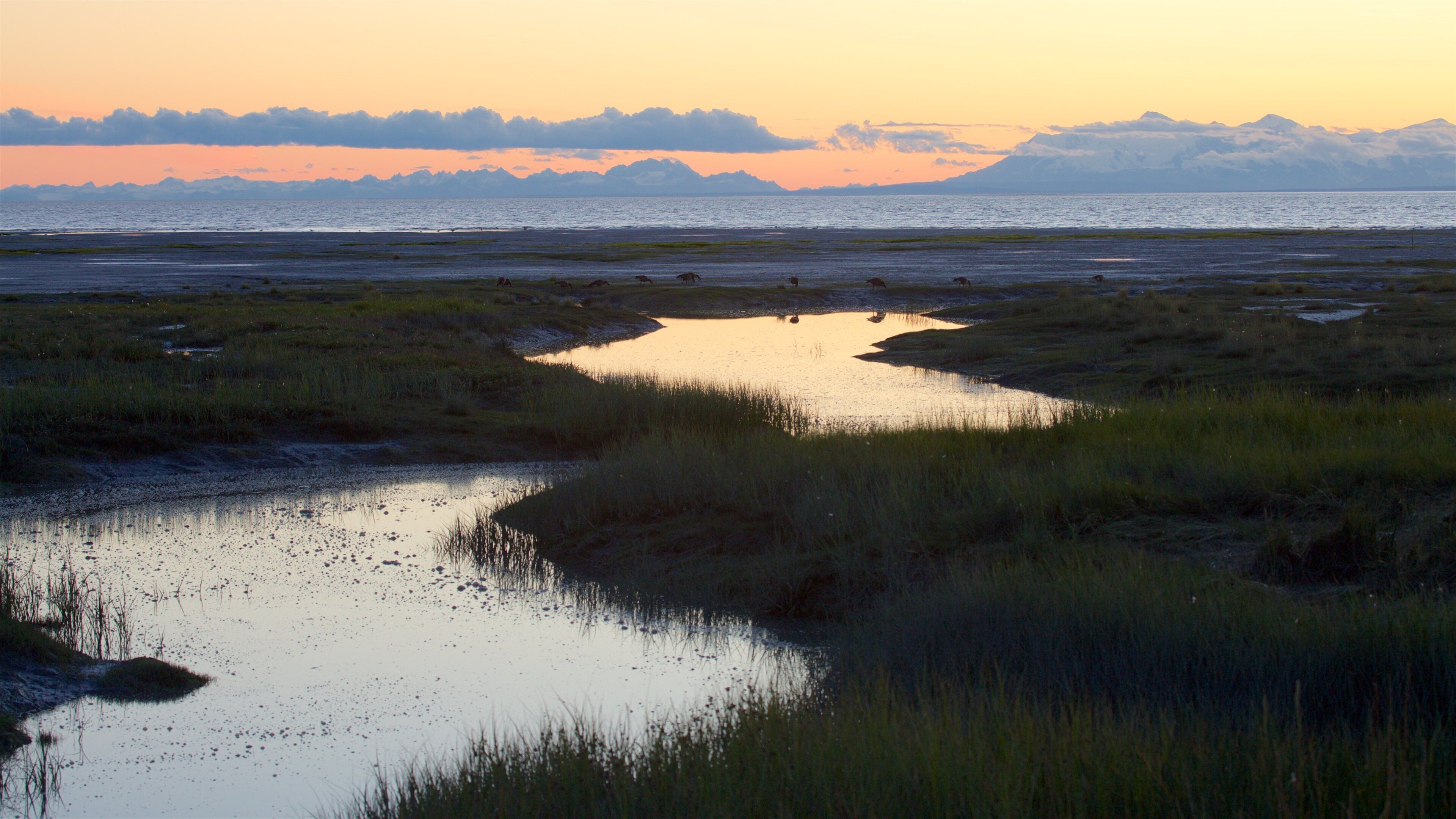 Anchorage som omfatter vådområde, udsigt over landskaber og en solnedgang