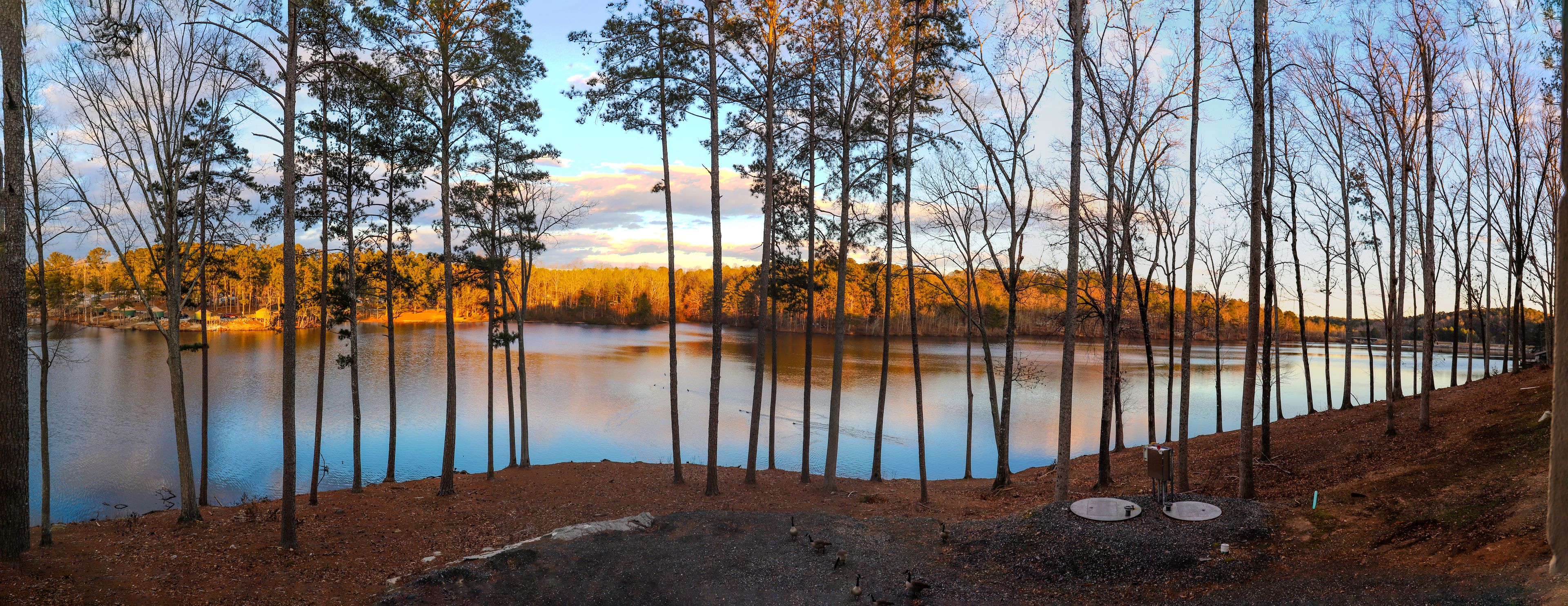 Um lago tranquilo rodeado por árvores altas, com um céu limpo e uma linha de costa distante.