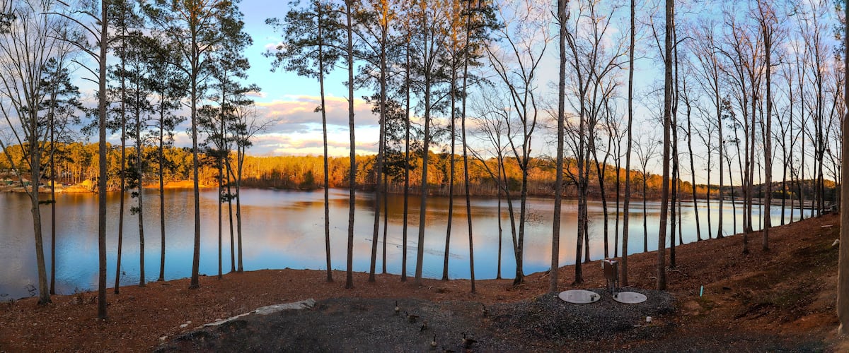 A serene lake surrounded by tall trees, with a clear sky and a distant shoreline.