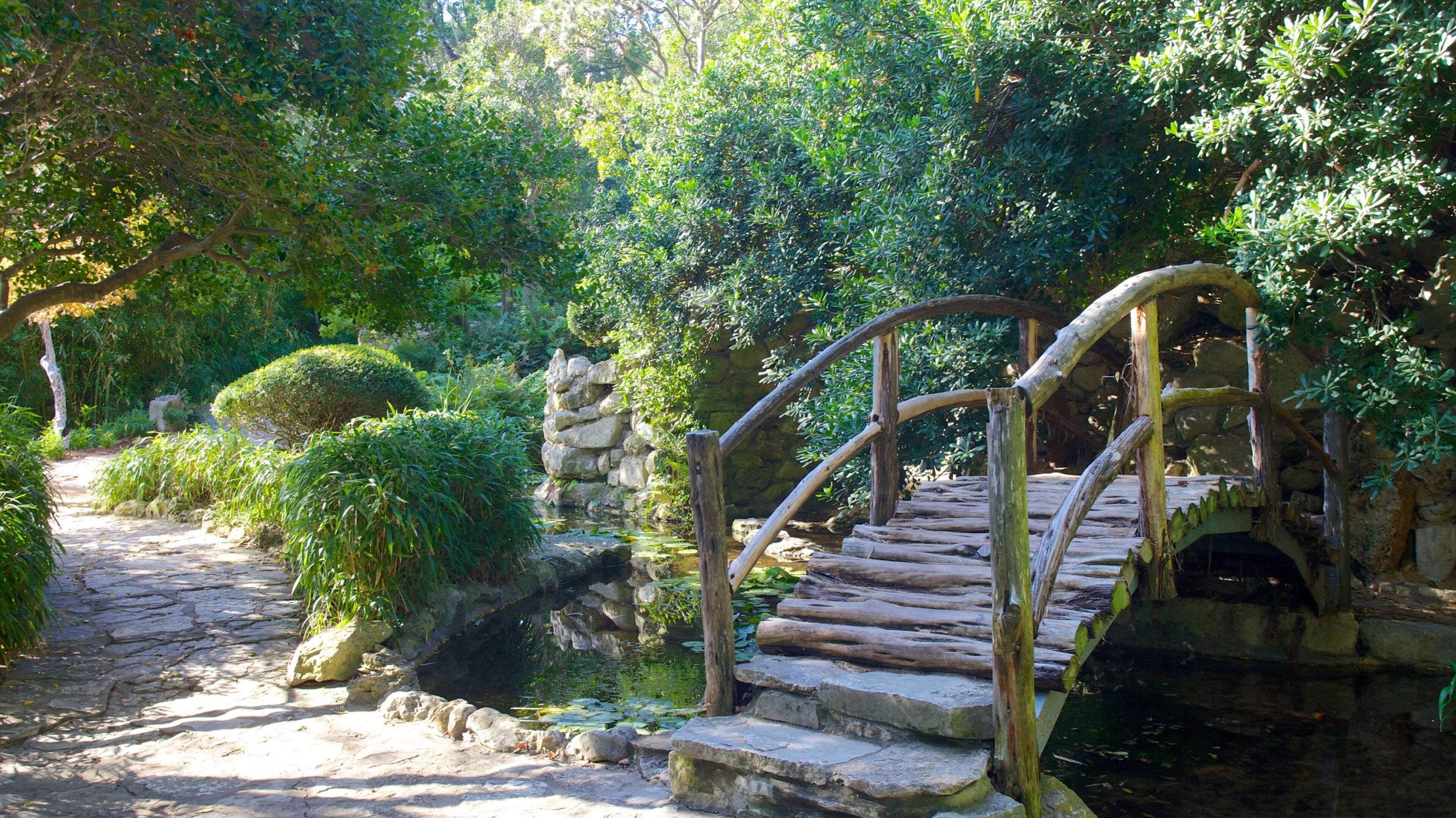 Austin featuring a park, a river or creek and a bridge