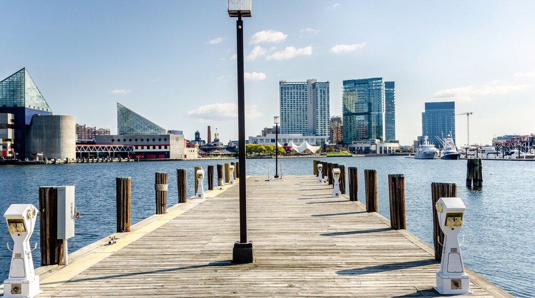 Deserted Wooden Jetty with Electric Sockets and Mooring Pole at Baltimore Harbour on a Sunny Autumn Day