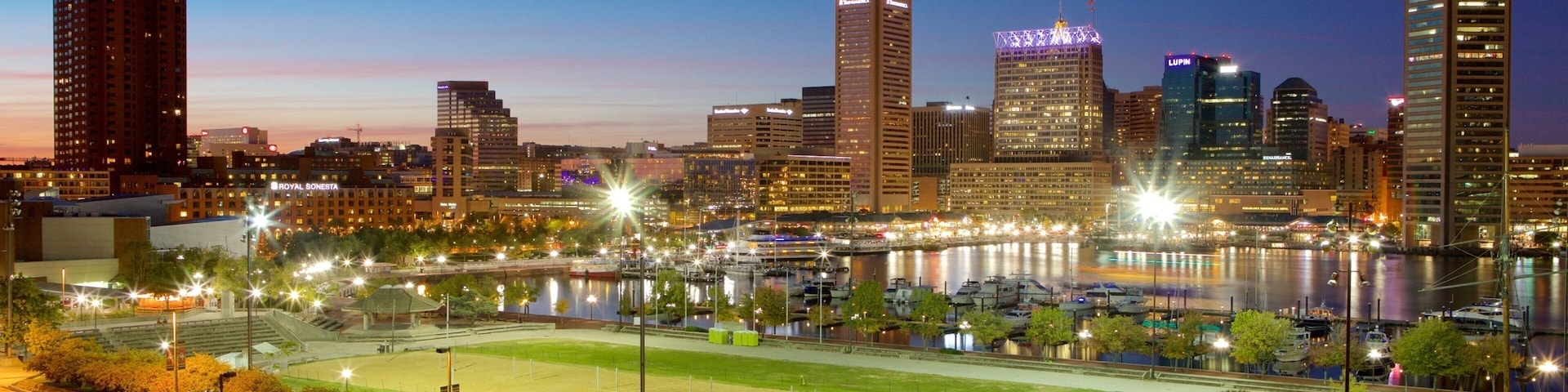 Baltimore featuring night scenes, a garden and skyline