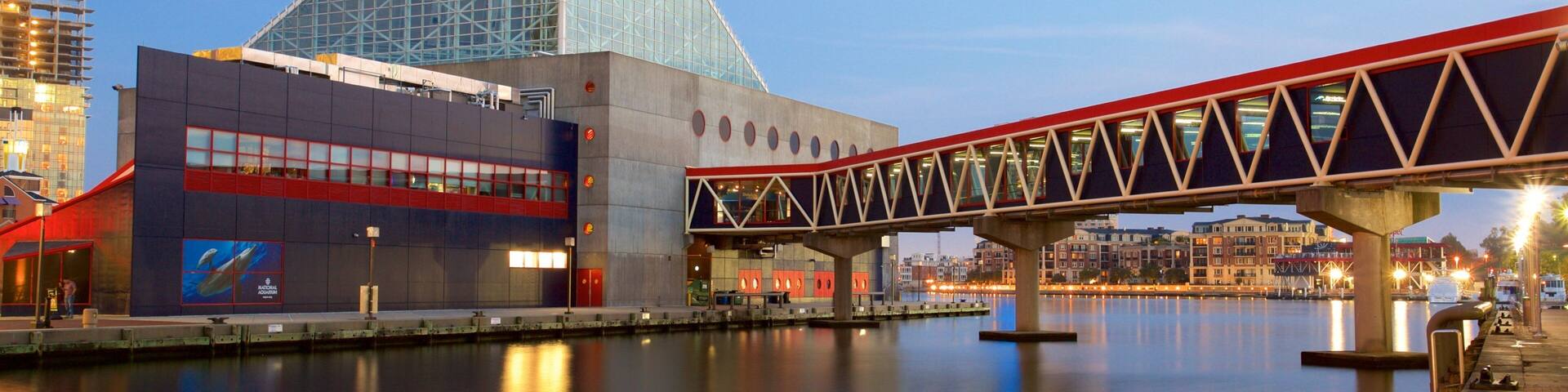 A modern building with a glass pyramid, a red bridge, and a calm river reflecting the city lights.