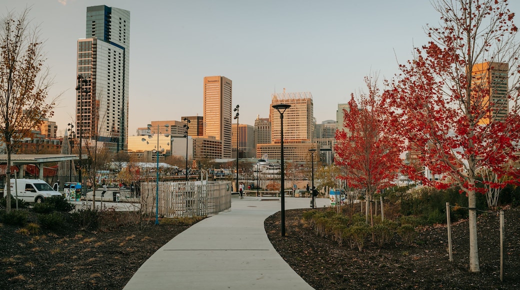 Baltimore which includes a city and a garden