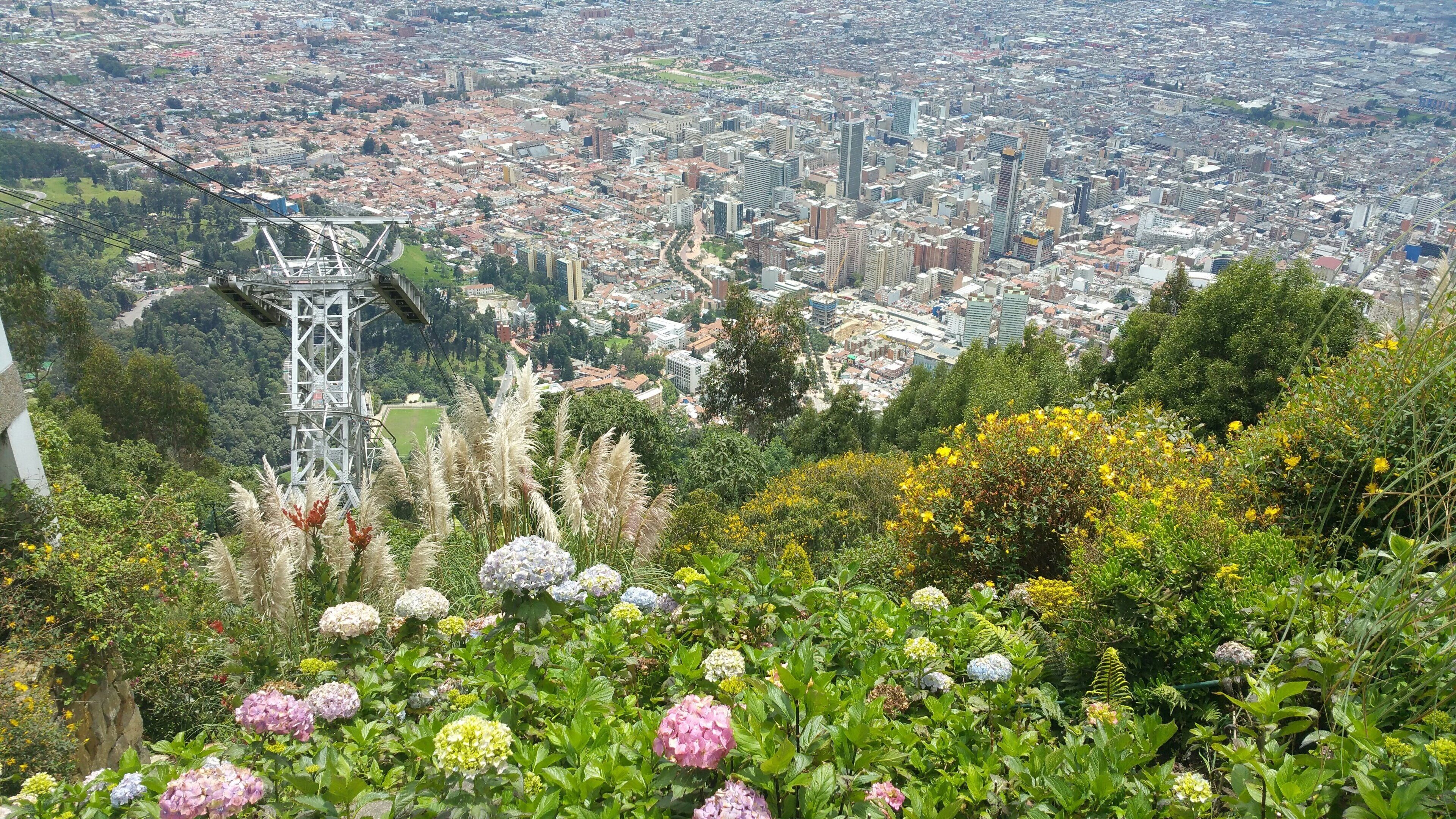 A cityscape with a bridge, greenery, and flowering plants.